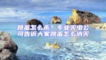 跳蚤怎么杀？专业灭虫公司告诉大家跳蚤怎么消灭