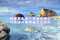 跳蚤怎么杀？专业灭虫公司告诉大家跳蚤怎么消灭