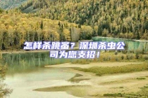 怎样杀跳蚤？深圳杀虫公司为您支招！