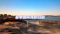 春季如何预防白蚁