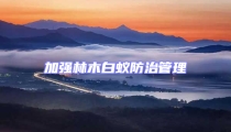 加强林木白蚁防治管理