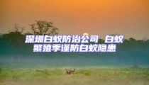 深圳白蚁防治公司 白蚁繁殖季谨防白蚁隐患