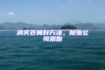 消灭苍蝇好方法，除虫公司帮你