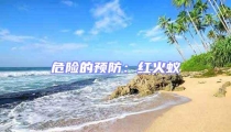 危险的预防:红火蚁