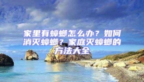 家里有蟑螂怎么办?如何消灭蟑螂?家庭灭蟑螂的方法大全