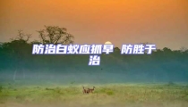防治白蚁应抓早 防胜于治