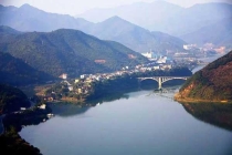 深圳专业除虫公司