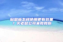 粘鼠板怎样使用更有效果？灭老鼠公司来教教你
