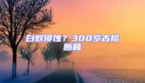 白蚁侵蚀？300岁古榕断臂