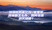 深圳除四害公司 家里发现蟑螂怎么办，如何快速消灭蟑螂？
