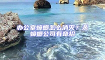 办公室蟑螂怎么消灭？杀蟑螂公司有奇招