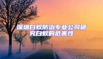 深圳白蚁防治专业公司研究白蚁的危害性