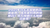 2021年什么杀蟑螂的药最管用？推荐最好用的蟑螂药？南方蟑螂什么蟑螂药管用？