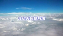 介绍灭蟑螂方法