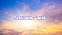 白蚁王国的“婚嫁”
