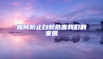 如何防止白蚁危害我们的家园