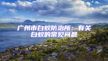 广州市白蚁防治所:有关白蚁的常见问题