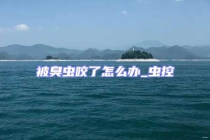 被臭虫咬了怎么办_虫控