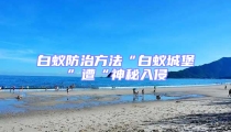 白蚁防治方法“白蚁城堡”遭“神秘入侵