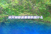 消灭蟑螂最重要的是什么