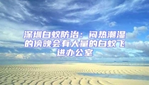 深圳白蚁防治:闷热潮湿的傍晚会有大量的白蚁飞进办公室