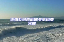 灭虫公司告诉你冬季也要灭蚊