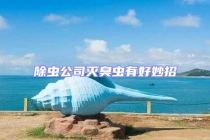除虫公司灭臭虫有好妙招