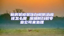 新房装修装饰白蚁防治应该怎么做 深圳防白蚁专业公司来处理