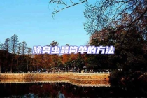 除臭虫最简单的方法