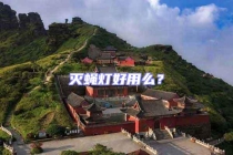 灭蝇灯好用么？