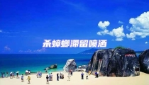 杀蟑螂滞留喷洒