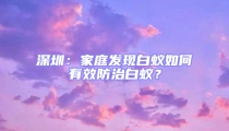 深圳：家庭发现白蚁如何有效防治白蚁？