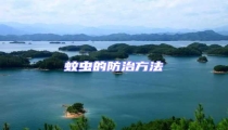 蚊虫的防治方法
