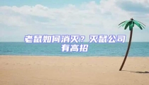 老鼠如何消灭?灭鼠公司有高招