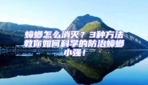蟑螂怎么消灭？3种方法教你如何科学的防治蟑螂小强！