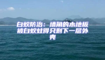 白蚁防治:墙角的木地板被白蚁蛀得只剩下一层外壳