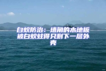 白蚁防治：墙角的木地板被白蚁蛀得只剩下一层外壳