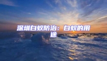 深圳白蚁防治:白蚁的用途