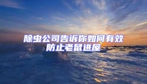 除虫公司告诉你如何有效防止老鼠进屋
