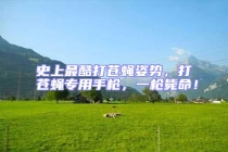 史上最酷打苍蝇姿势，打苍蝇专用手枪，一枪毙命！