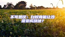 不可思议:白蚁竟能让沙漠变成绿地?