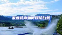 家庭装修如何预防白蚁