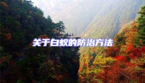 关于白蚁的防治方法