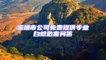 深圳市公司免费提供专业白蚁危害问答