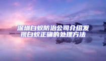 深圳白蚁防治公司介绍发现白蚁正确的处理方法