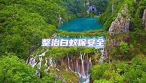 整治白蚁保安全