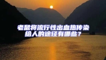 老鼠将流行性出血热传染给人的途径有哪些？