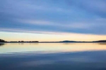 深圳灭蚂蚁，家里有蚂蚁怎么办，8招教你如何快速解决蚂蚁入室问题