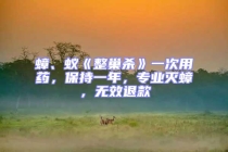 蟑、蚁《整巢杀》一次用药，保持一年，专业灭蟑，无效退款