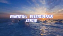 白蚁防治：白蚁常识及活动规律